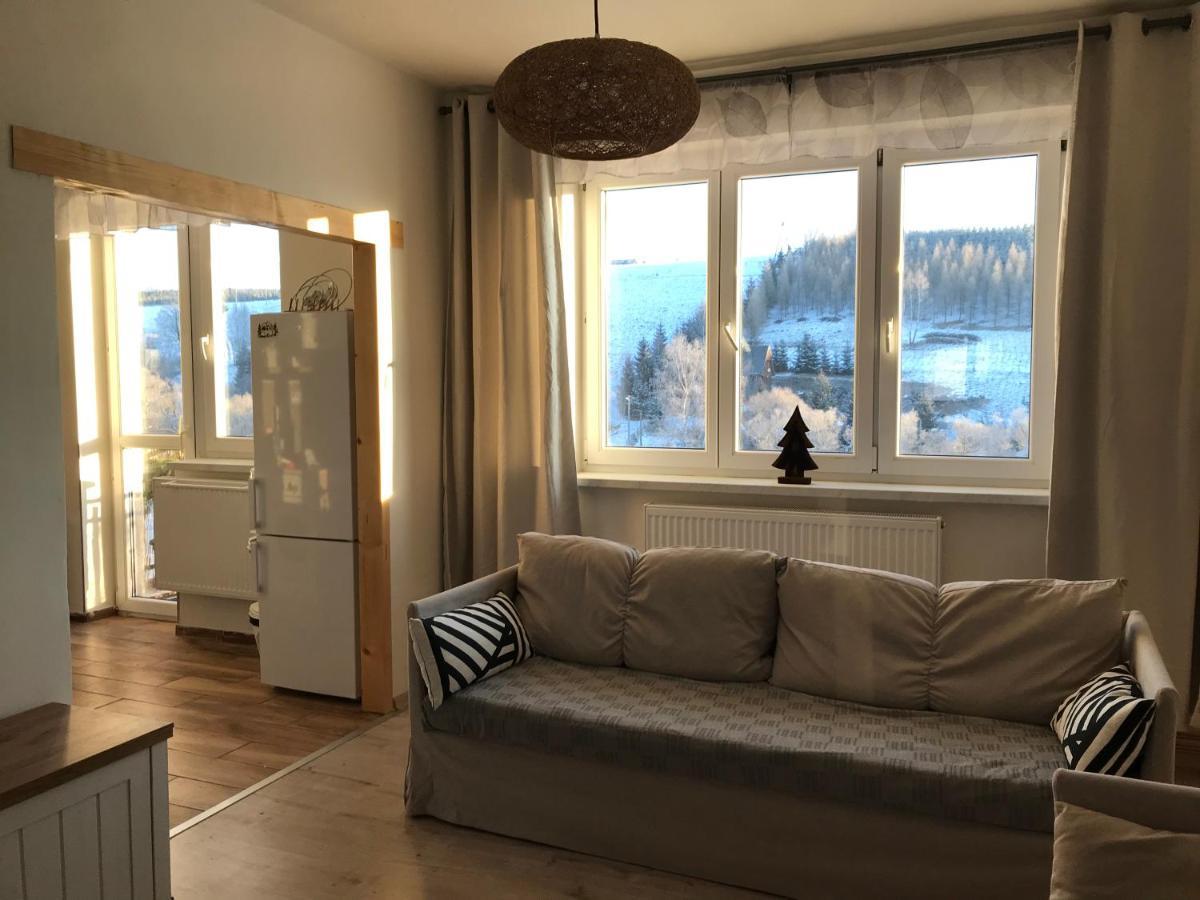 Apartman Orlicke Zahori Exterior foto