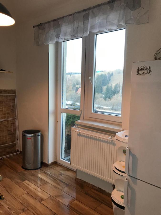 Apartman Orlicke Zahori Exterior foto