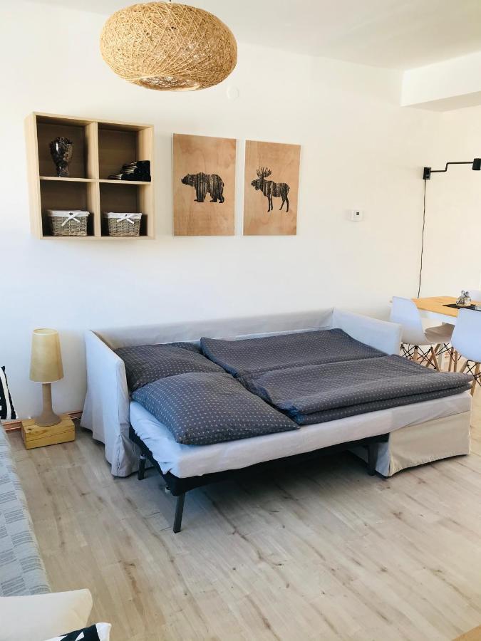 Apartman Orlicke Zahori Exterior foto